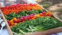 Srpen rozhoduje: odmění vás sklizeň plná chuti, pokud uděláte tyto kroky